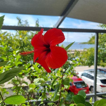 Apartman Ruza Podgora Exterior photo
